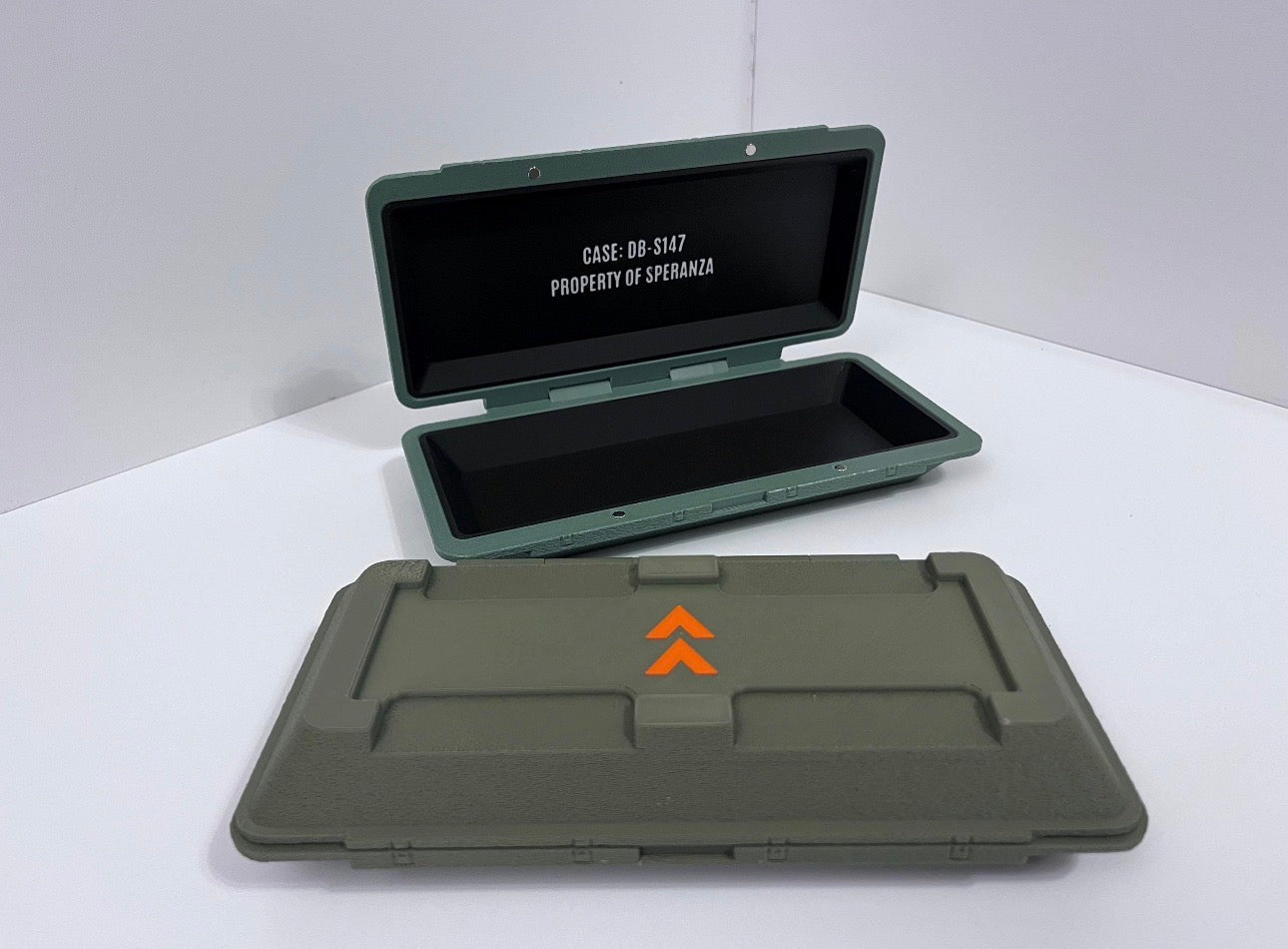 Arc Raiders gun case